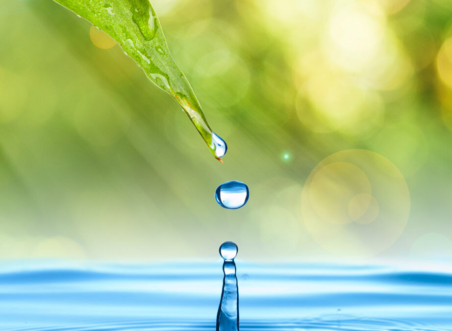 10 Consejos que le ayudaran a ahorrar agua en el hogar