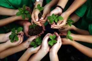 formas-cuidar-medio-ambiente